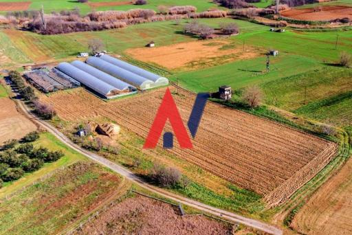 Land parcel 24.375 m² — Σουρωτή · Θεσσαλονίκη - Περιφ/κοί δήμοι