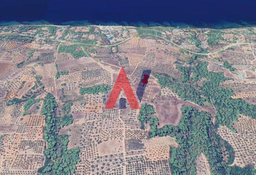 Land parcel 28.000 m² — Νικήτη · Χαλκιδική