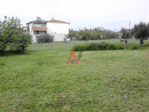 Plot 530 m² — Αγγελοχώρι · Θεσσαλονίκη - Περιφ/κοί δήμοι