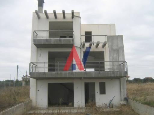 From the portfolio · ΘΑΝΟΣ ΤΣΑΟΥΣΟΓΛΟΥ
